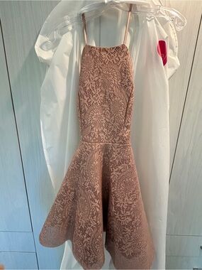 Lace Fit-and-Flare Mini Dress in Blush Pink